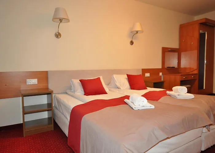 帕斯酒店 Zebrzydowice