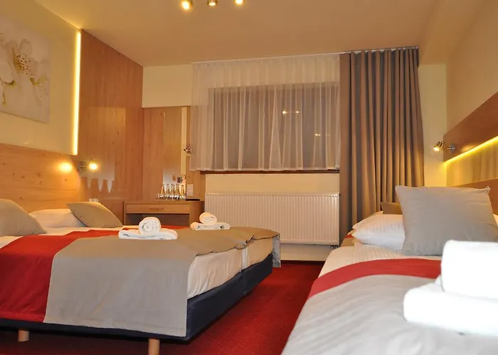 招待所 帕斯酒店 Zebrzydowice