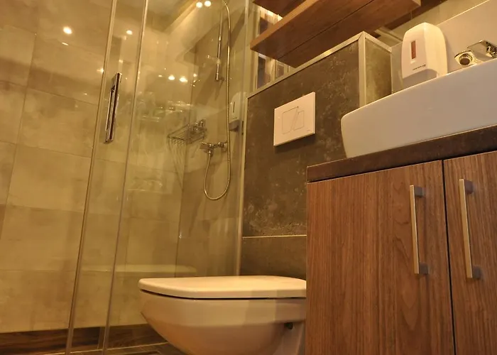 帕斯酒店 招待所 3*